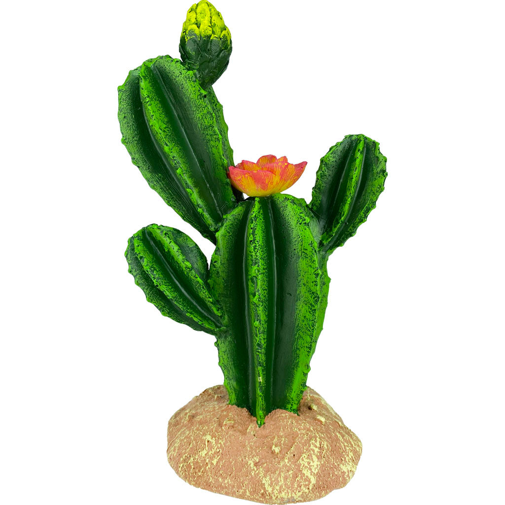 Komodo Cactus/Flower (GREEN, 9 IN)