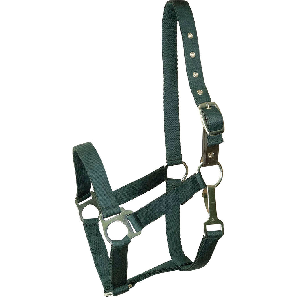 Gatsby Ultra Soft Nylon Safety Halter (HUNTER GREEN, PONY)