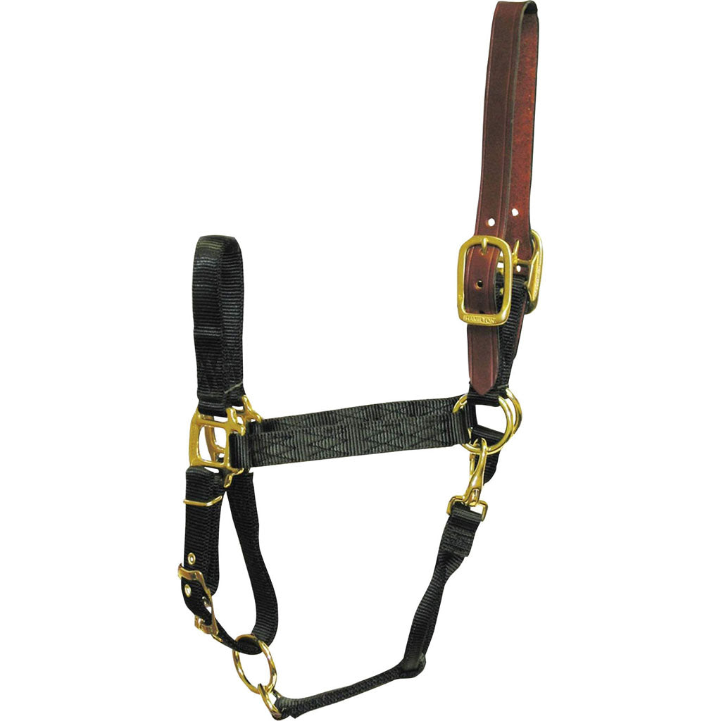 Hamilton Adjustable Halter W/Leather Headpole (BLACK, SM)