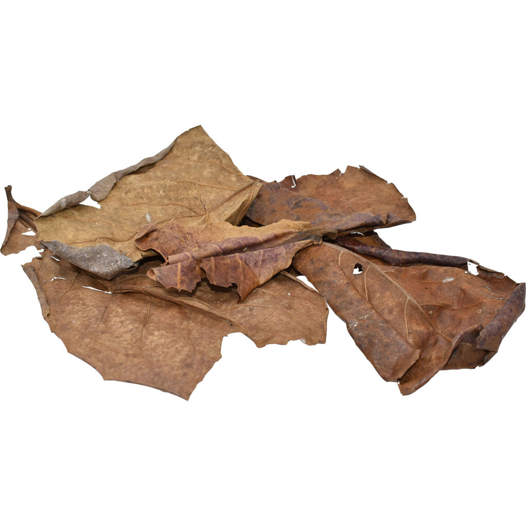 Komodo Dried Oak Leaves Bag (3 OZ)