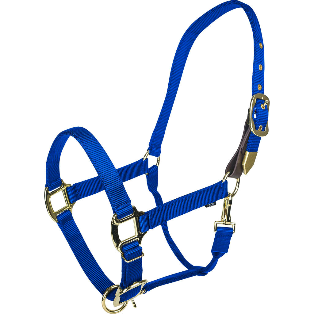 Gatsby Gold Adjustable Safety Breakaway Halter (BLUE, HORSE)