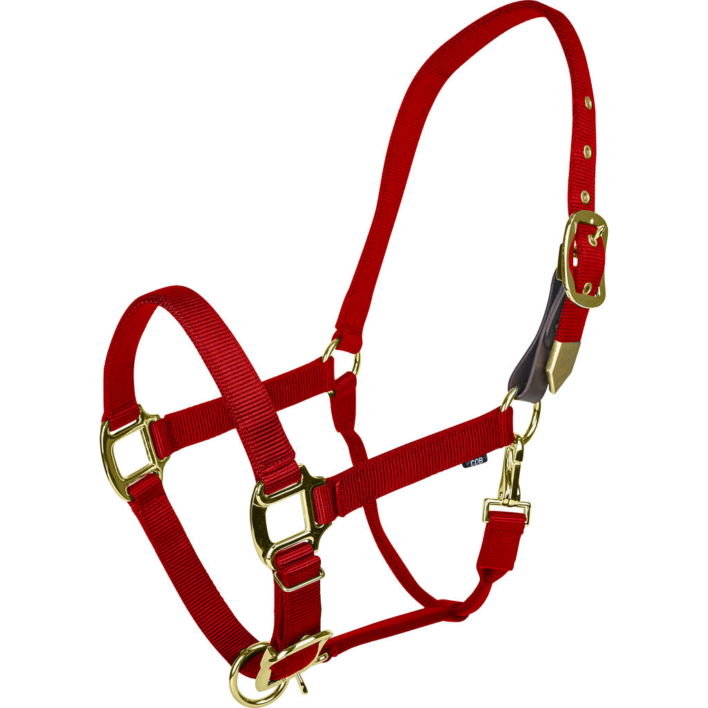 Gatsby Gold Adjustable Safety Breakaway Halter (RED, OVERSIZE)