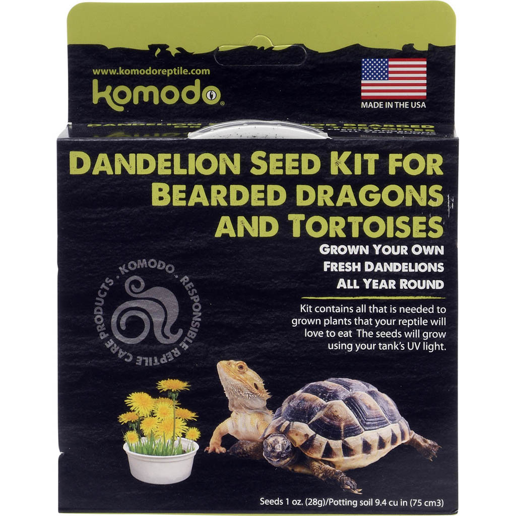 Komodo Grow Your Own Dandelion Kit (GREEN)