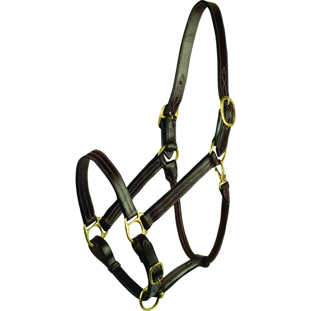 Gatsby Premium Adjustable Triple Stitched Halter (HAVANA, COB)
