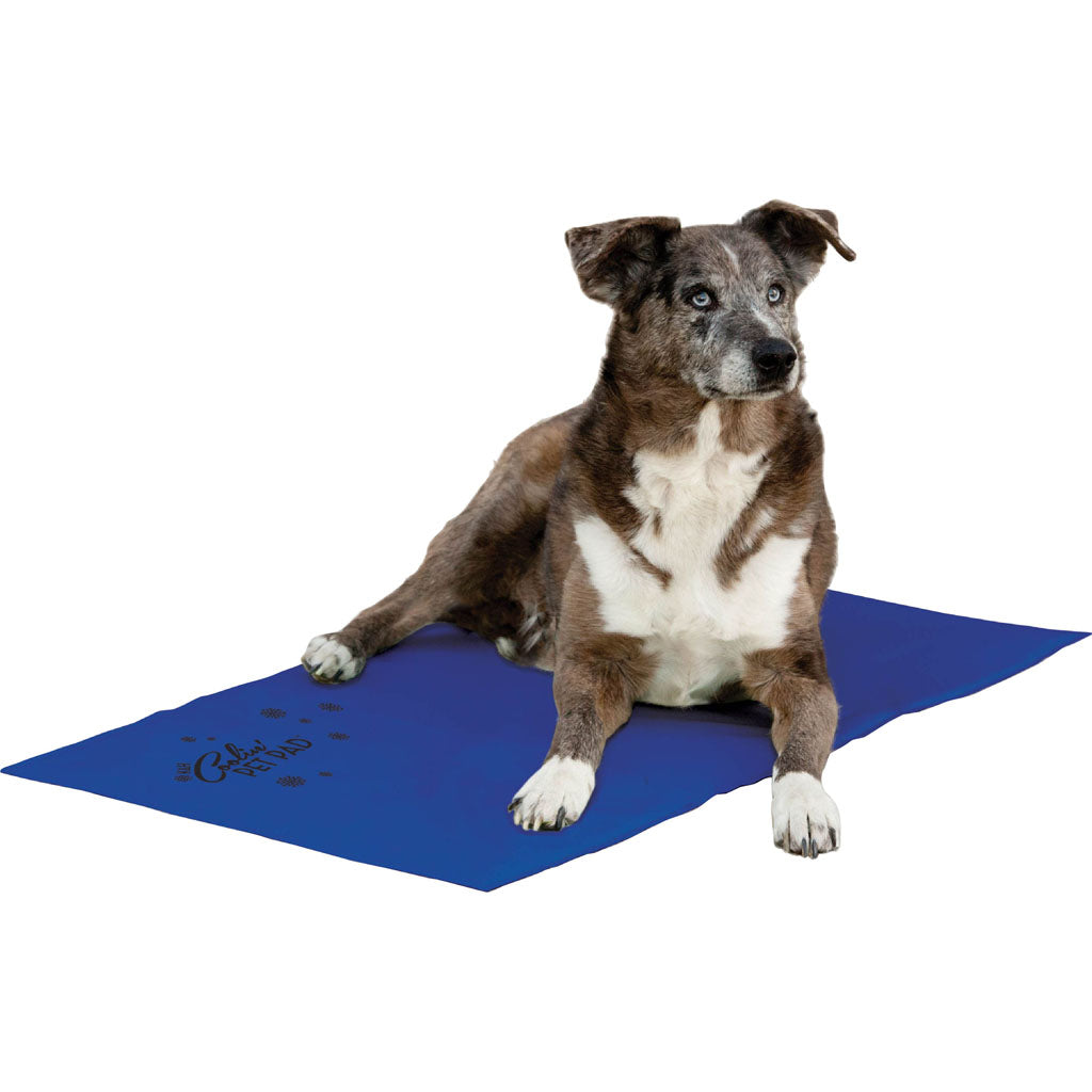 K&H Coolin' Pet Pad (BLUE, XL)