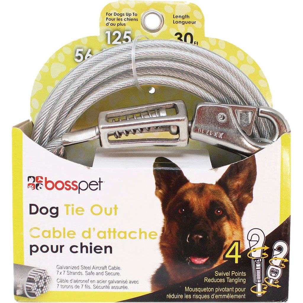 Boss Pet Tie-Out W/ Spring (15 FT) [009145]