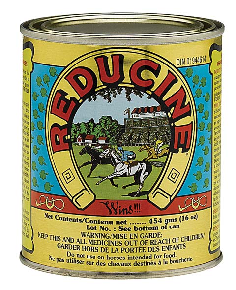 Reducine Absorbent Equine Liniment (16 OZ)