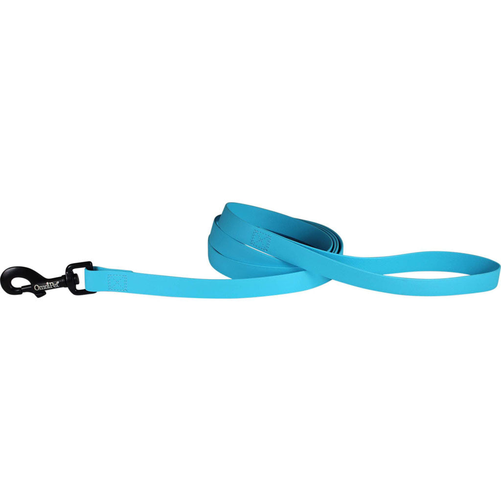 Carnival Biothane Dog Lead (LIGHT BLUE, 3/4 IN X 6 FT)