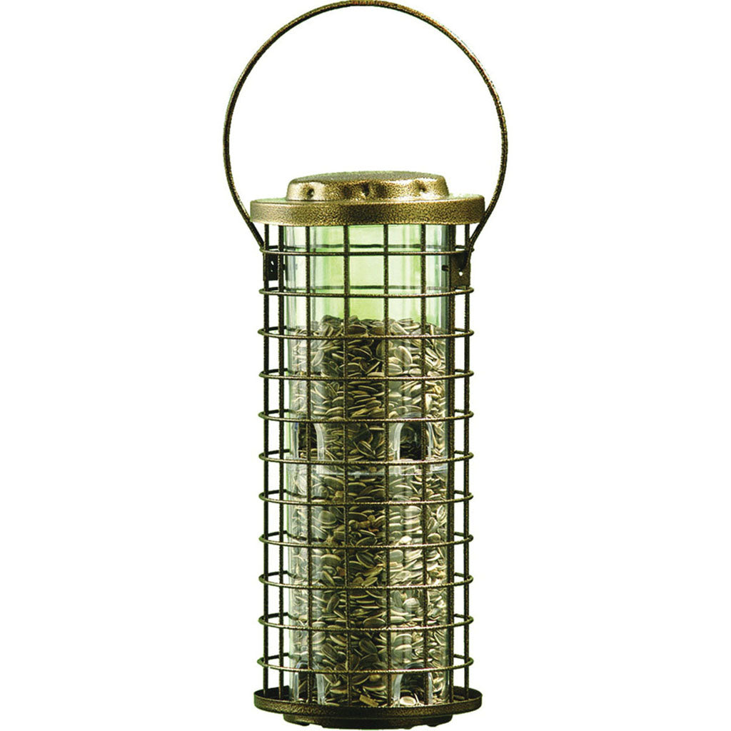 Squirrel Stumper Bird Feeder (NICKEL, 3 LB CAP)