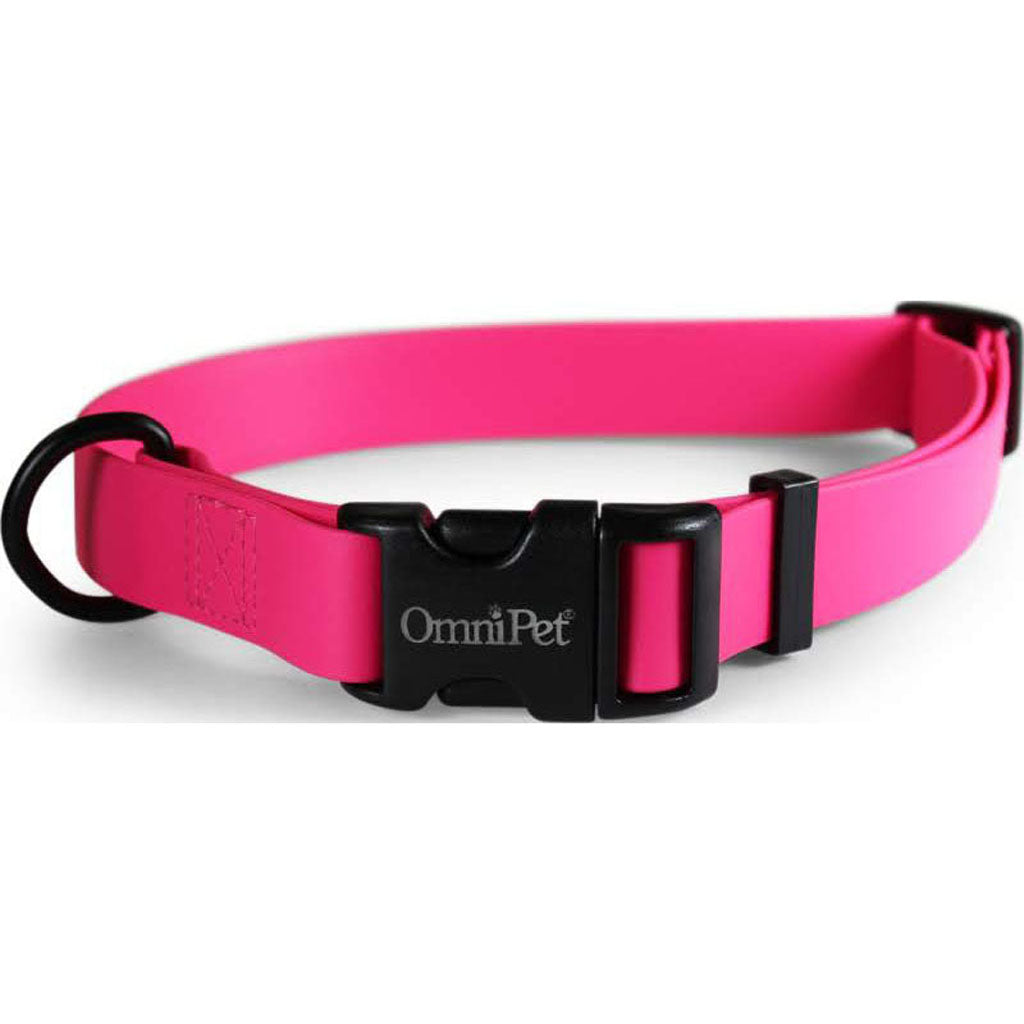 Carnival Biothane Dog Collar (RUBY, 3/4 X 14 X 20 I)