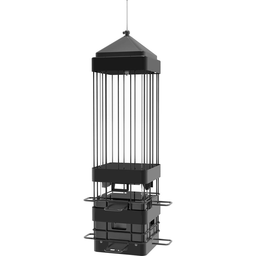 Squirrel Shield Advantage Cage Metal Feeder (BLACK, 3.2 QT CAP)