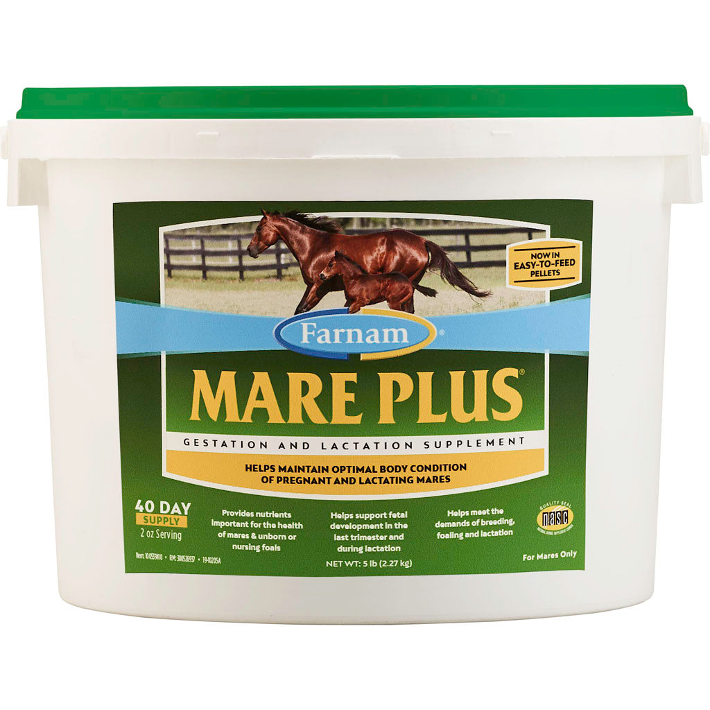 Mare Plus Gestation & Lactation Supplement (5 LB-40 DAY)