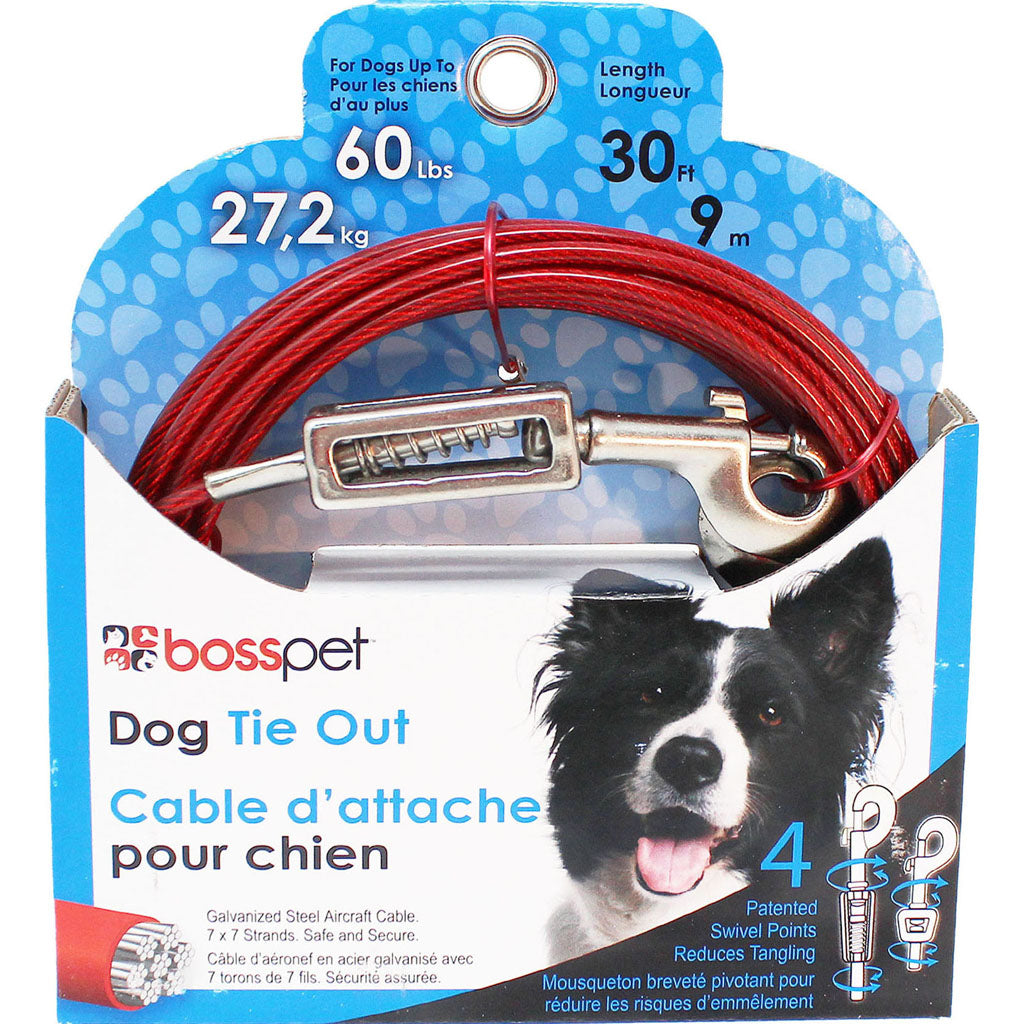 Boss Pet Tie-Out W/ Spring (30 FT) [009143]