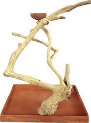 Java Wood Table Top Bird Play Stand (22X14X22 IN)