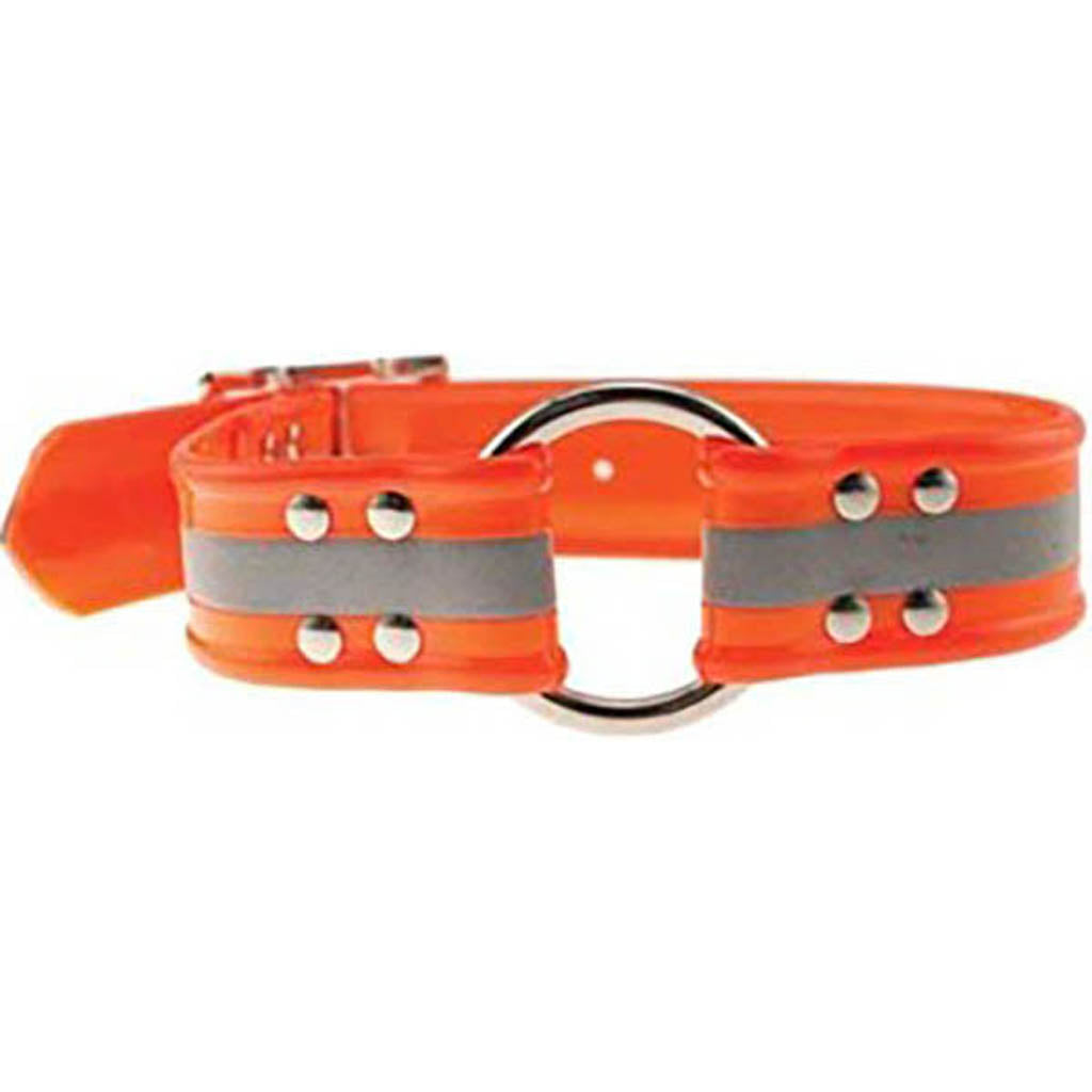 Sunglo Reflective Dog Collar (ORANGE, 1 X 25 IN) [048200]