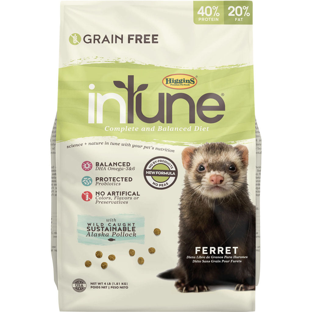 Intune Complete Diet Ferret (4 LB)
