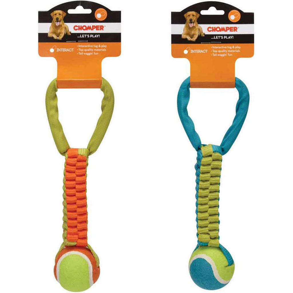 Chomper Braided Tennis Ball Tug Toy (ASSORTED, 12 IN)