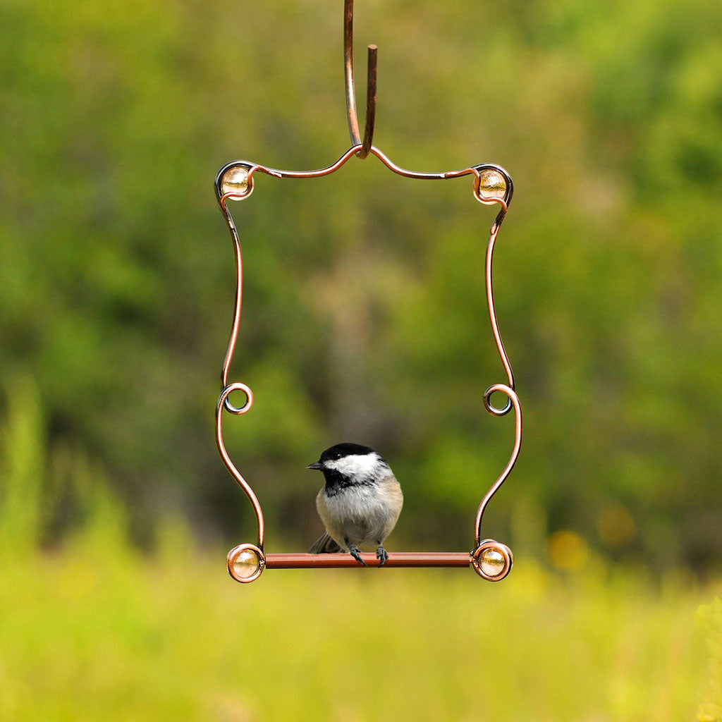 Perky Pet Beaded Hummingbird Swing (COPPER, 5X7.25 IN)
