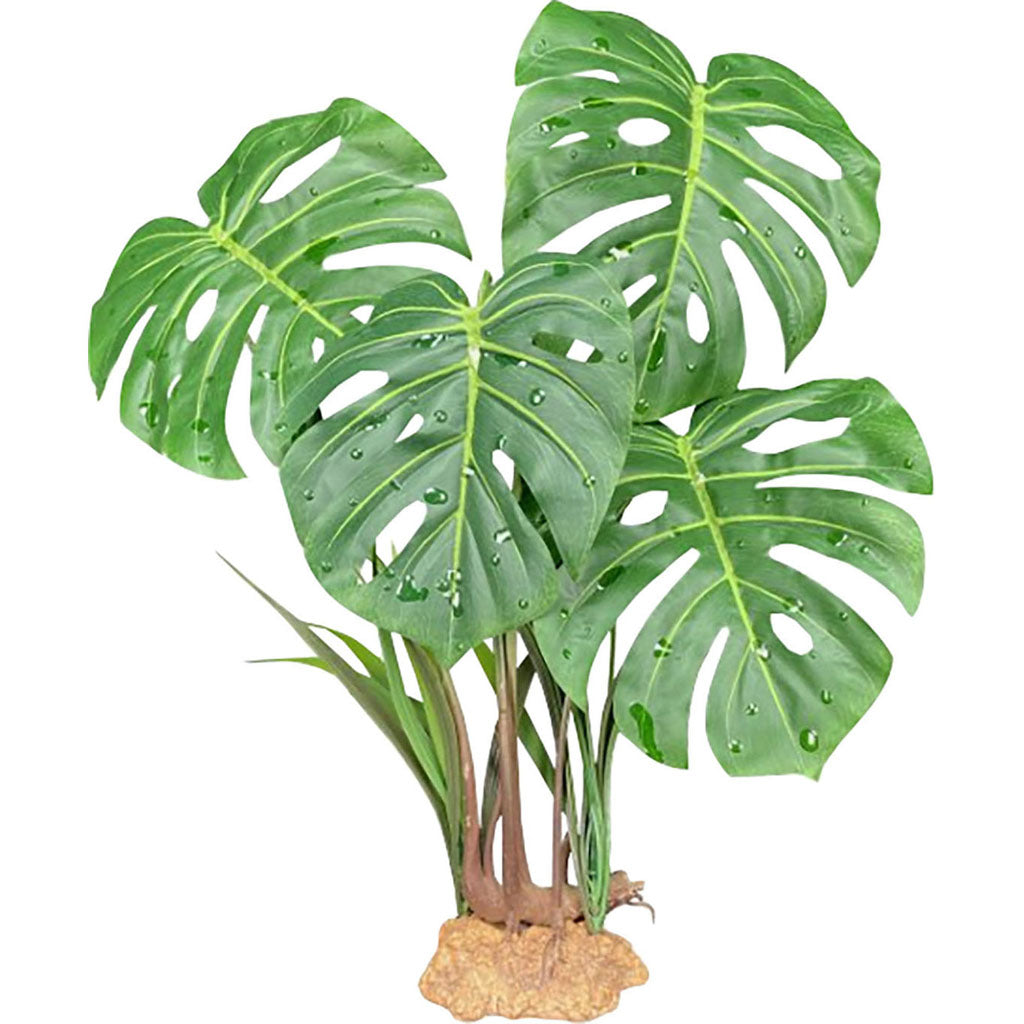 Komodo Monstera Standing Plant (GREEN, 11.8 IN)