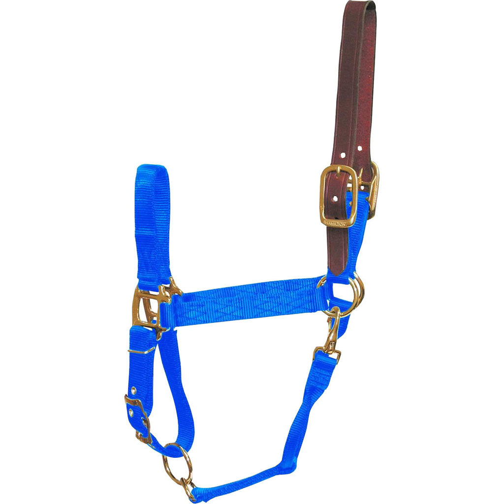 Hamilton Adjustable Halter W/Leather Headpole (BLUE, LG)