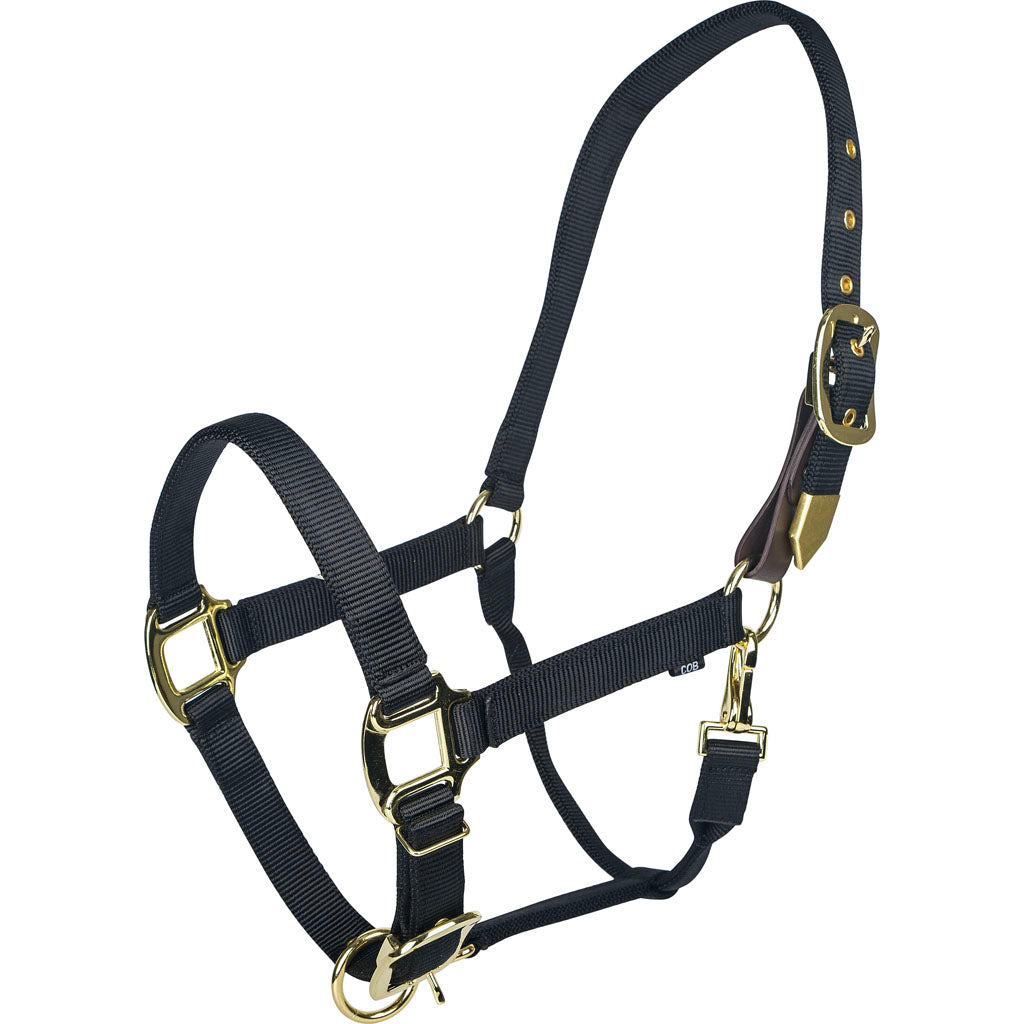 Gatsby Gold Adjustable Safety Breakaway Halter (BLACK, COB)