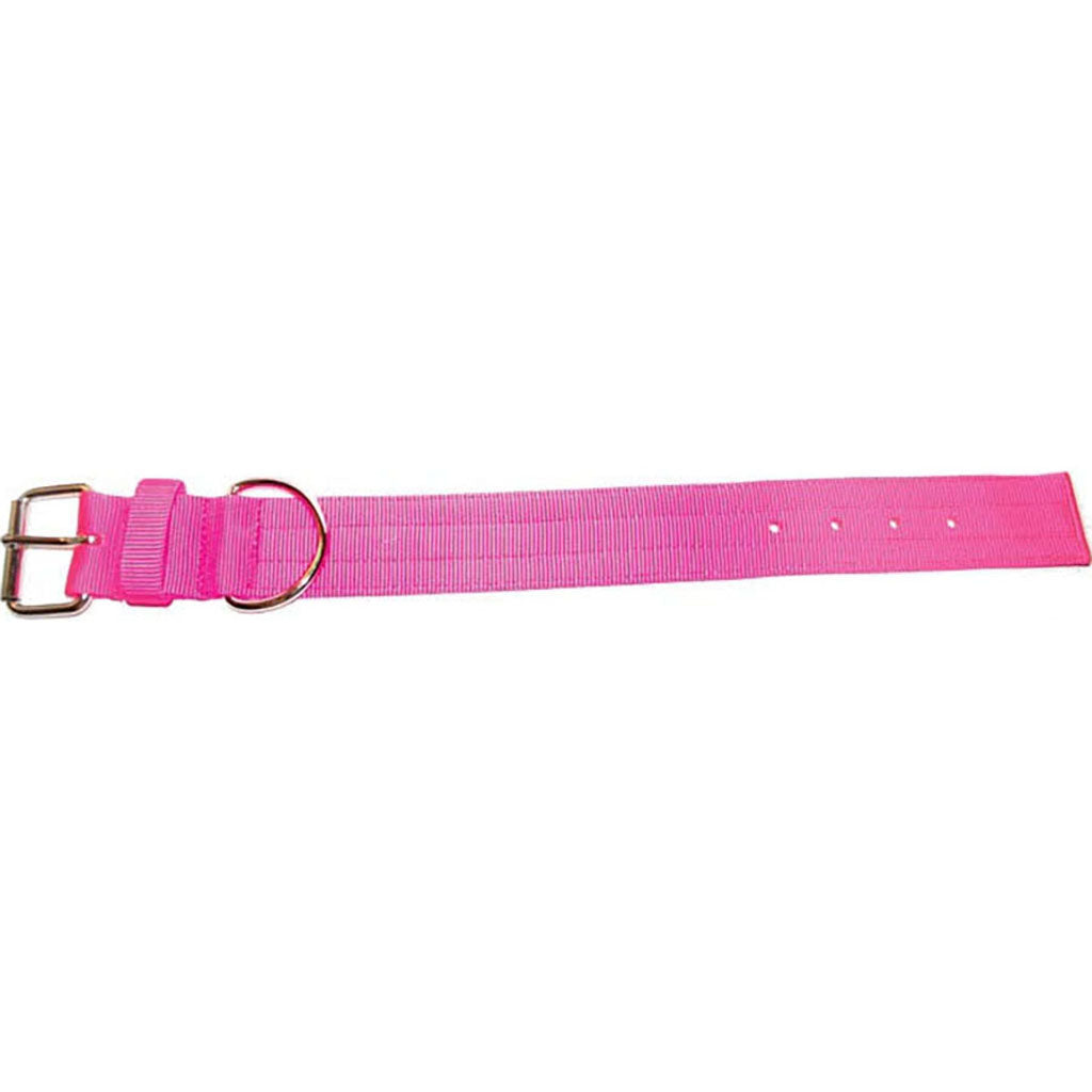 Bravo 2 Ply Nylon Dog Collar (NEON PINK, 2 X 21 IN)