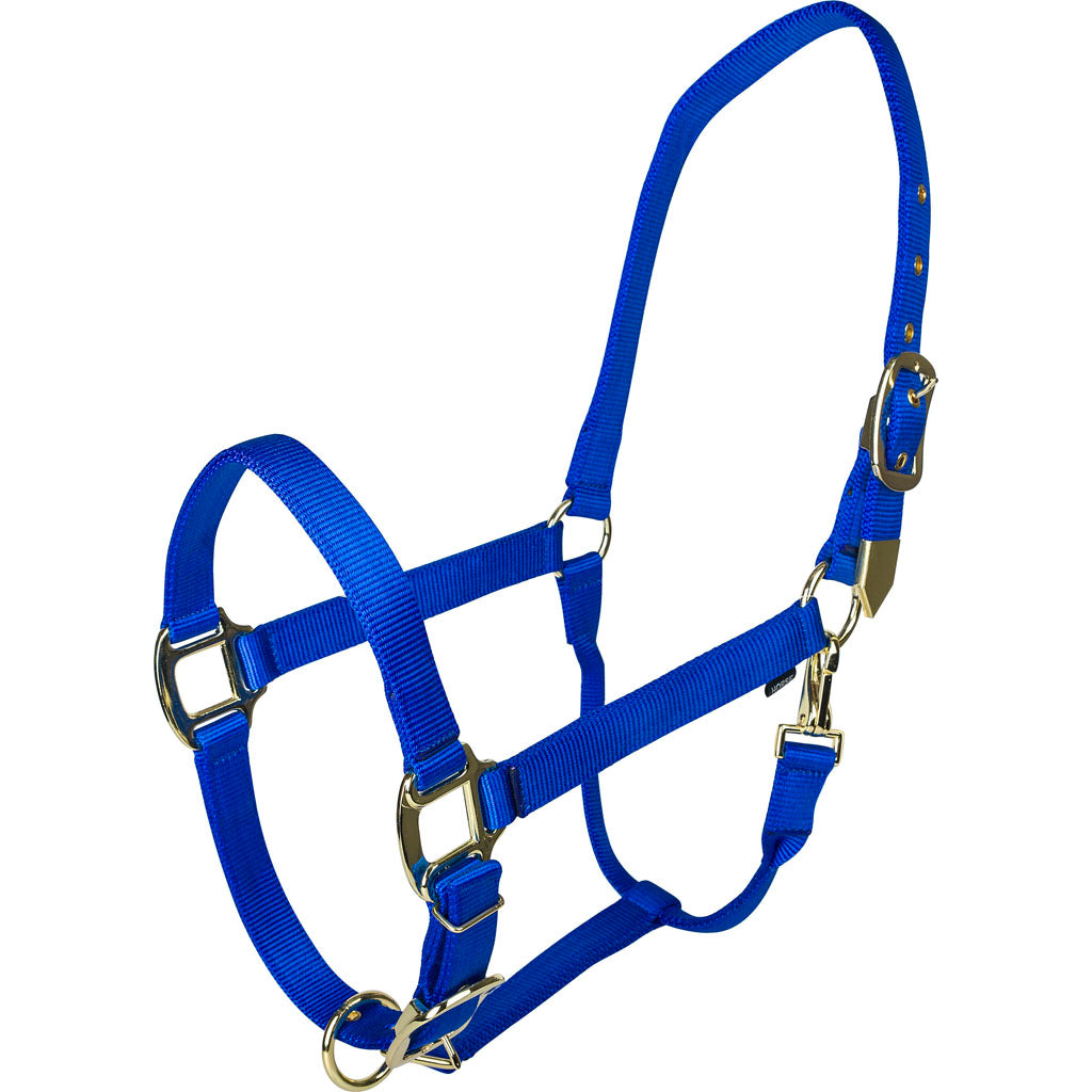 Gatsby Gold Adjustable Halter W/ Snap (BLUE, HORSE)