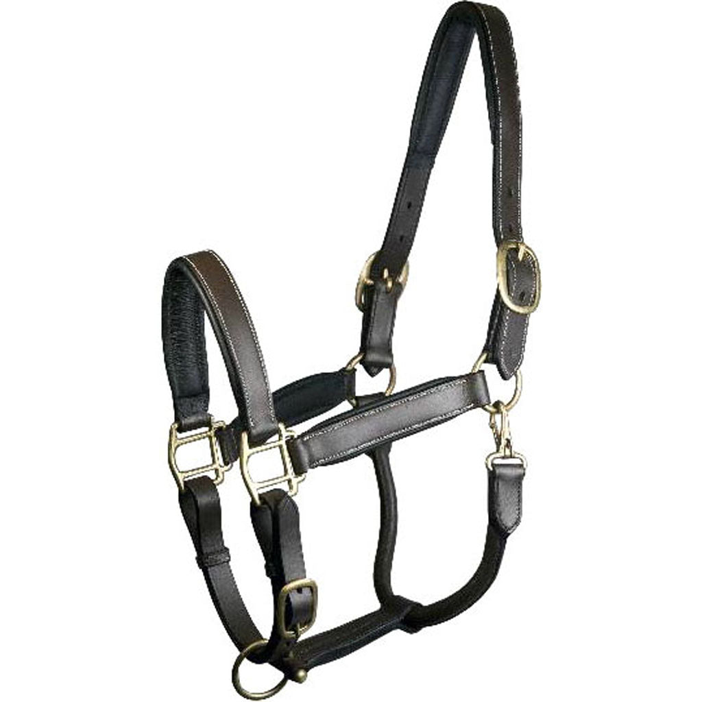 Gatsby Adjustable Padded Leather Halter (HAVANA, OVERSIZE)