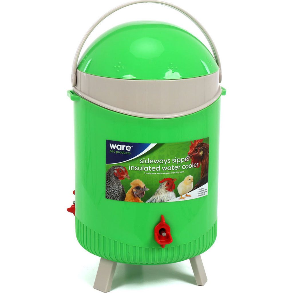 Sideways Sipper Insulated Water Cooler (GREEN, 1.2 GAL)
