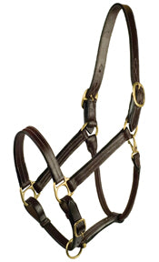 Gatsby Premium Adjustable Triple Stitched Halter (HAVANA, OVERSIZE)