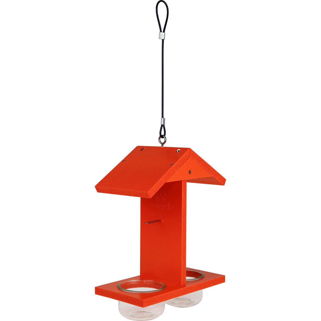 Ecocycle Citrus Sampler Orange Jelly Oriole Feeder (ORANGE)