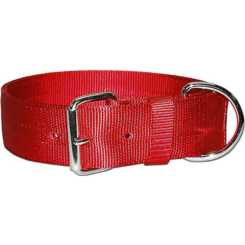 Bravo 2 Ply Nylon Dog Collar (RED, 2 X 25 IN)
