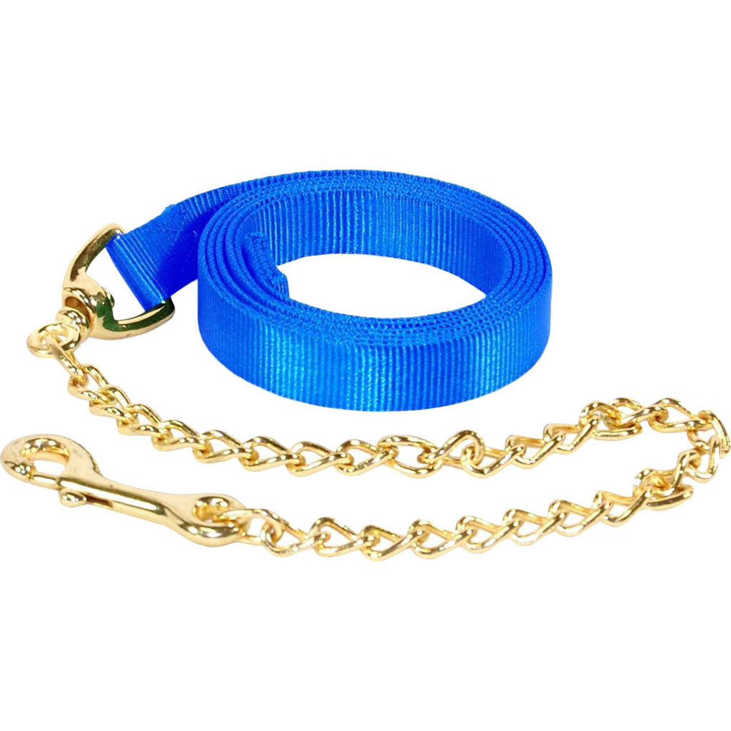 Hamilton Nylon Lead W/Chain & Snap (BLUE, 7 FT)