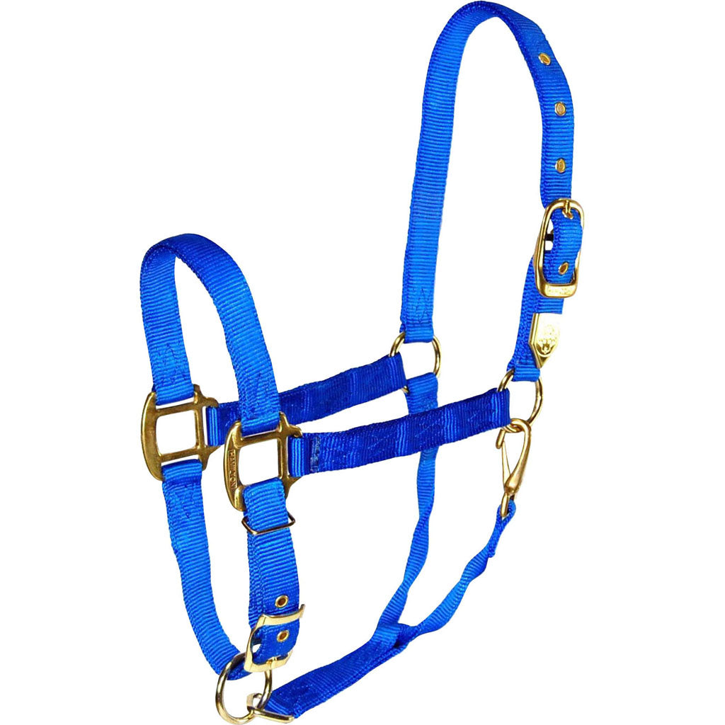 Hamilton Adjustable Chin Halter W/Snap (BLUE, AVG)
