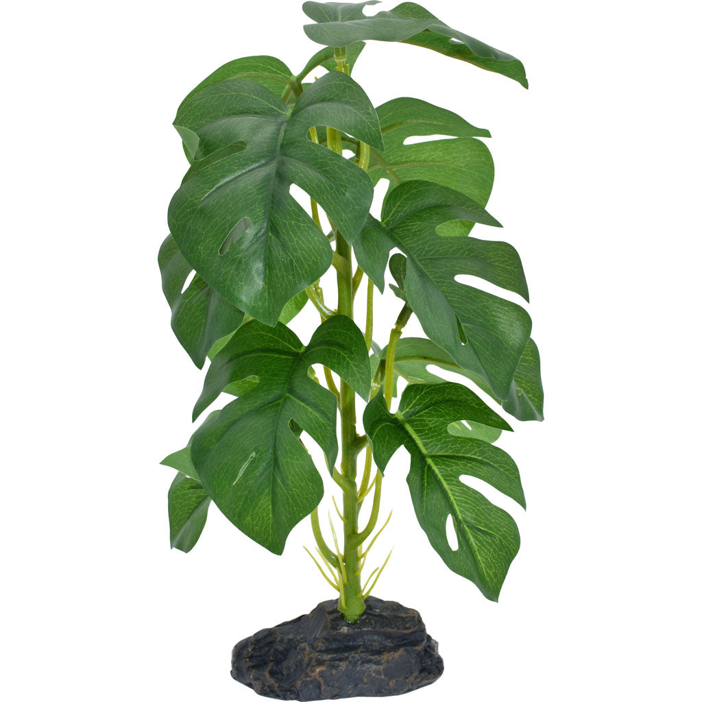 Komodo Standing Monstera Plant (GREEN, 10 IN)