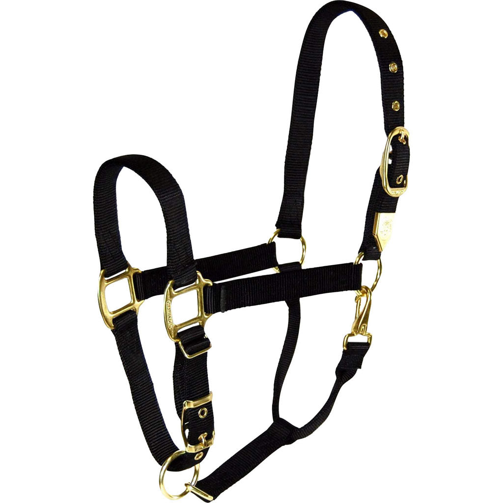 Hamilton Adjustable Chin Halter W/Snap (BLACK, AVG)