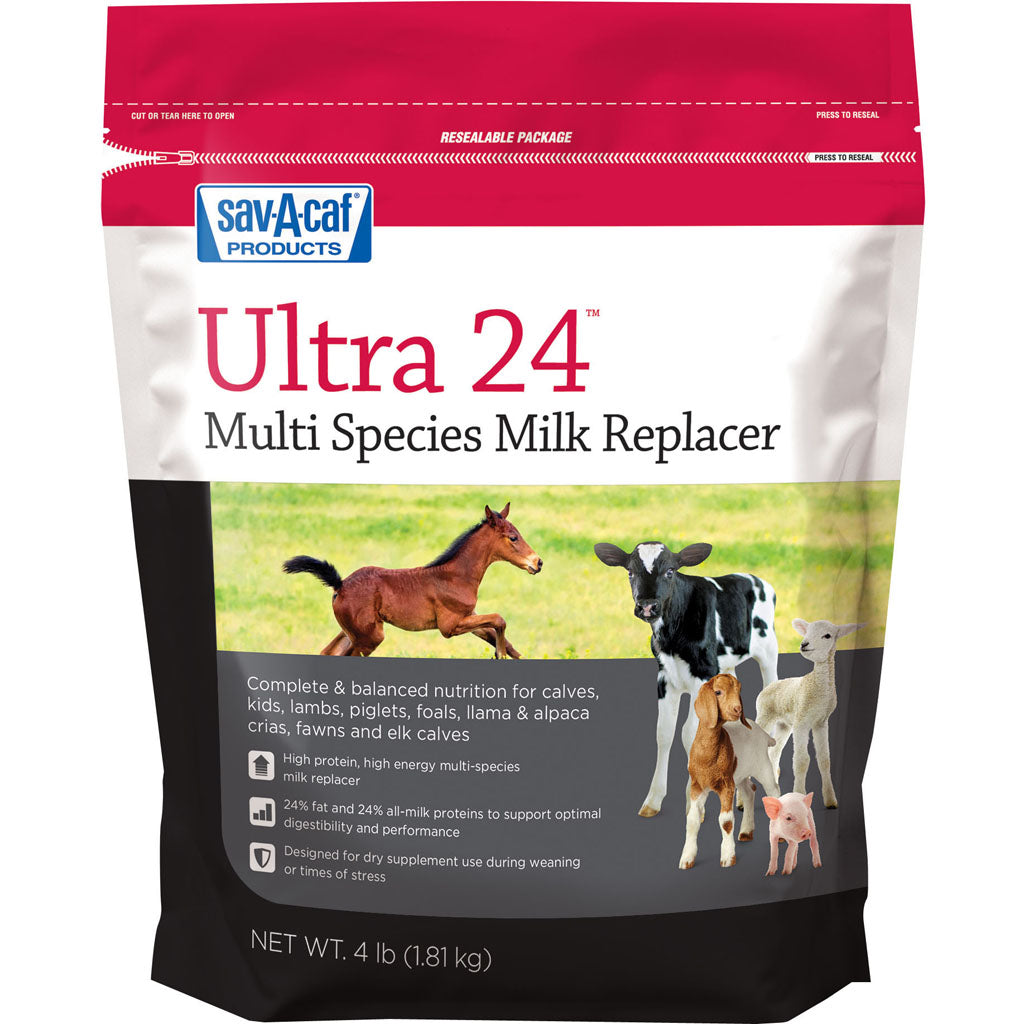 Grade A Ultra 24 Multi-Species Milk Replacer (4 LB)