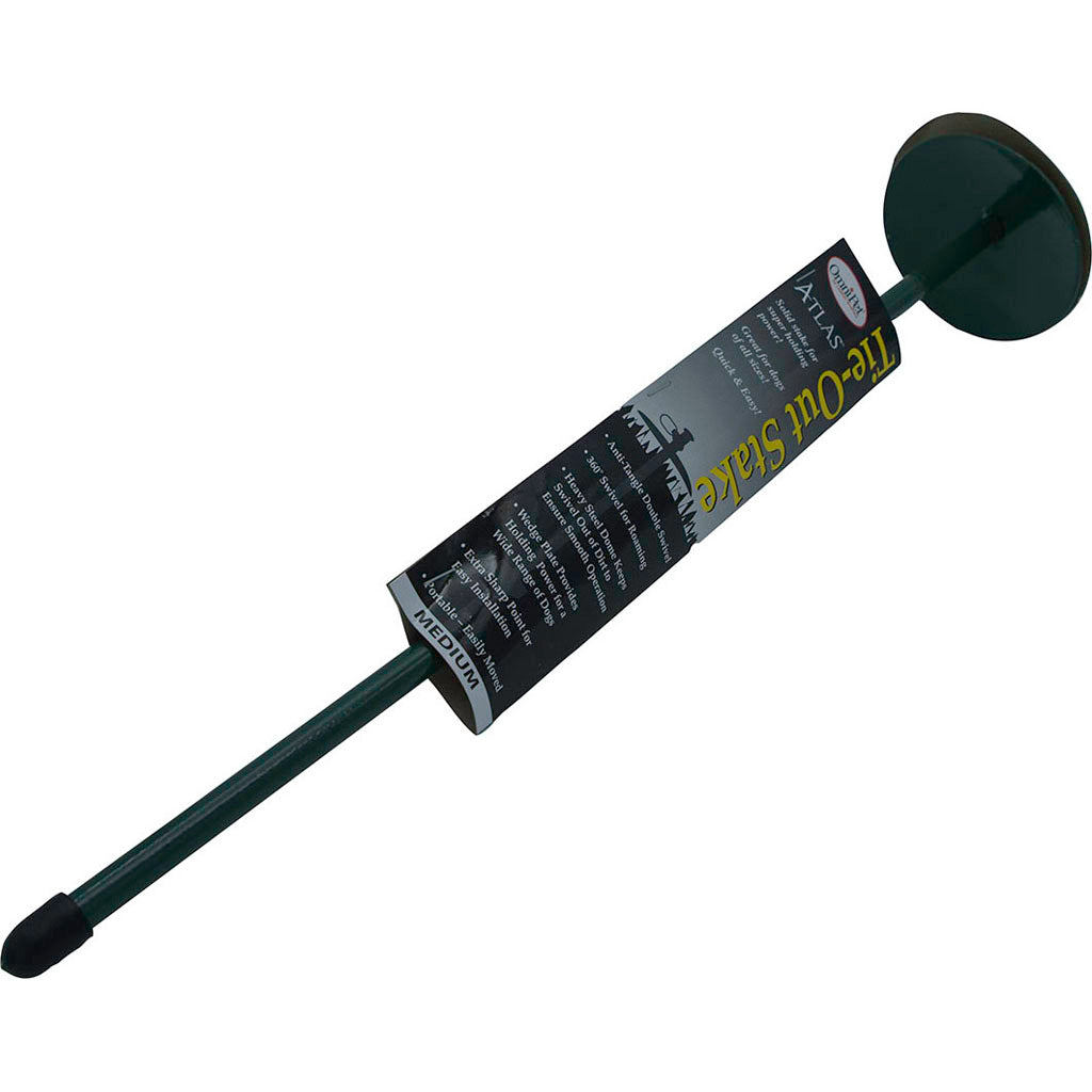 Dome Stake (20 IN X 13 MM F)