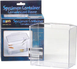 Specimen Container (LG)