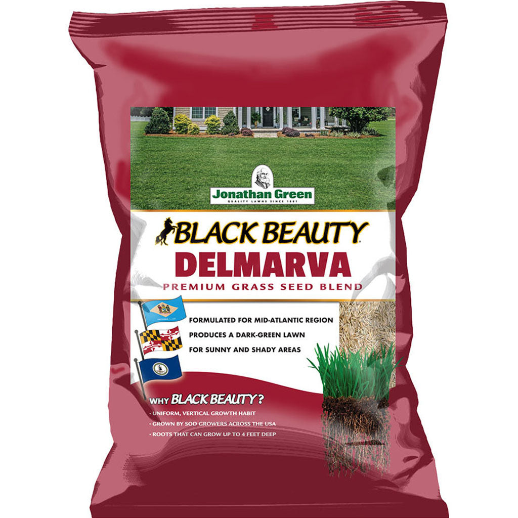 Black Beauty Delmarva Grass Seed Mixture (25 LB)