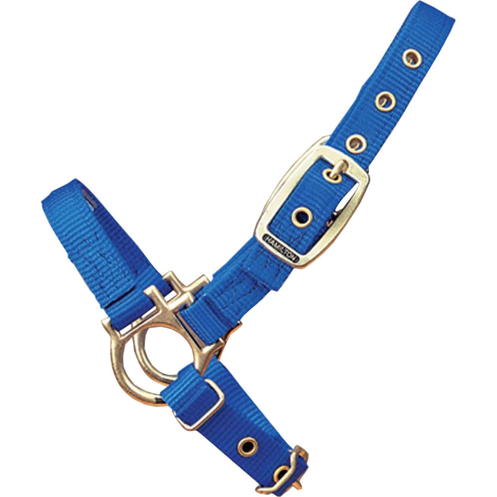 Hamilton Sheep Halter W/Adjustable Strap (BLUE, 3/4 IN)
