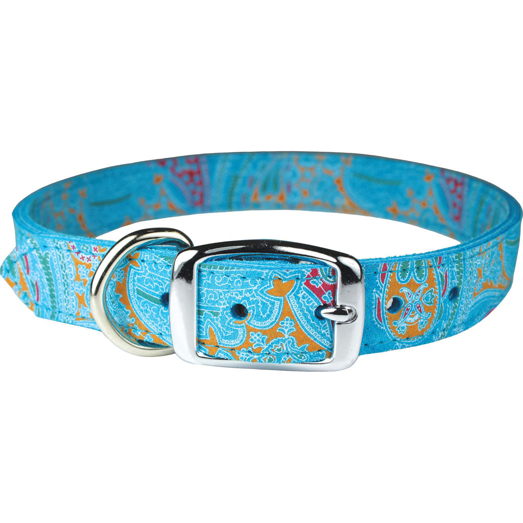 Leather Paisley Dog Collar (TURQUOISE, 1X26IN)
