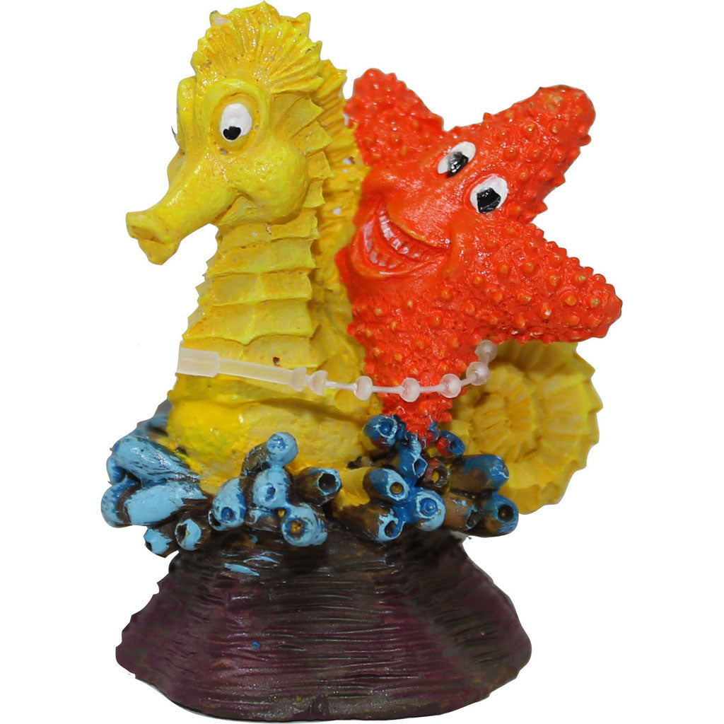 Exotic Environments Seahorse & Star (2X1.5X2.5 IN)