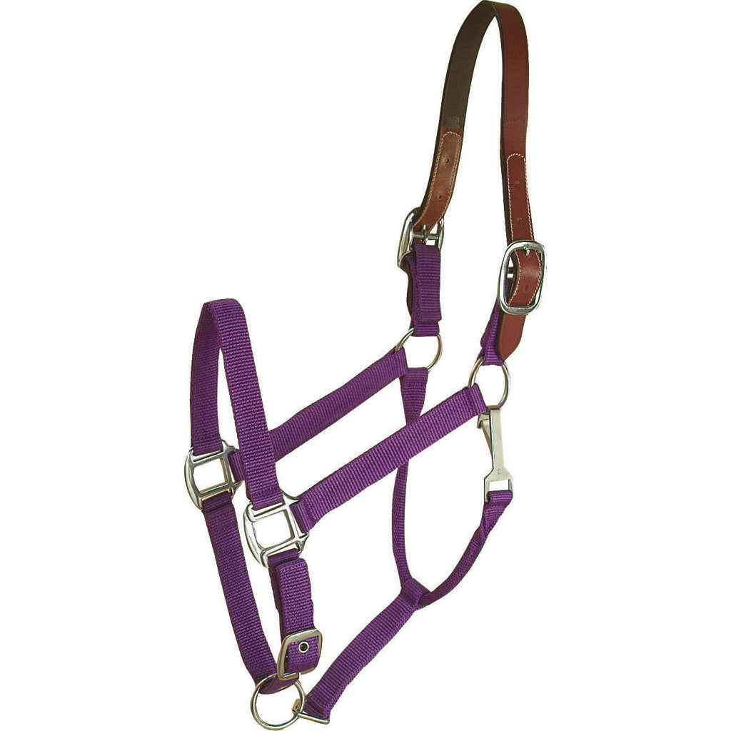 Gatsby Nylon Breakaway Halter (PURPLE, OVERSIZE)