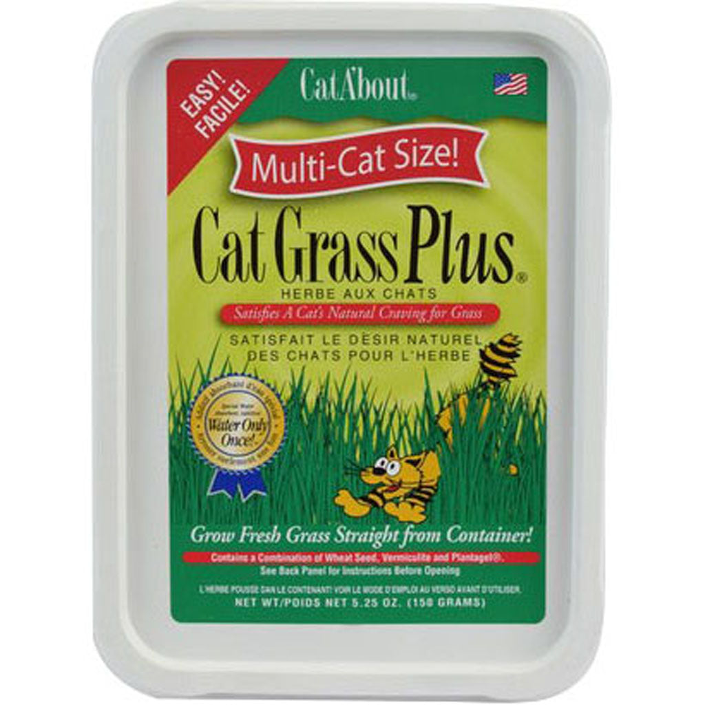 Cata'Bout Cat Grass Plus (5.25 OZ)