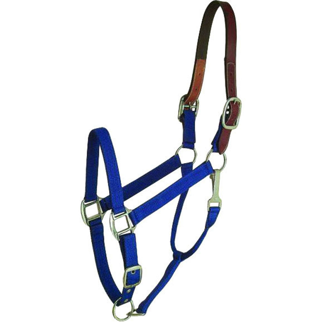 Gatsby Nylon Breakaway Halter (BLUE, HORSE)