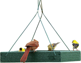 Going Green Platform Feeder (GREEN, 12.75X12.75X2.5)