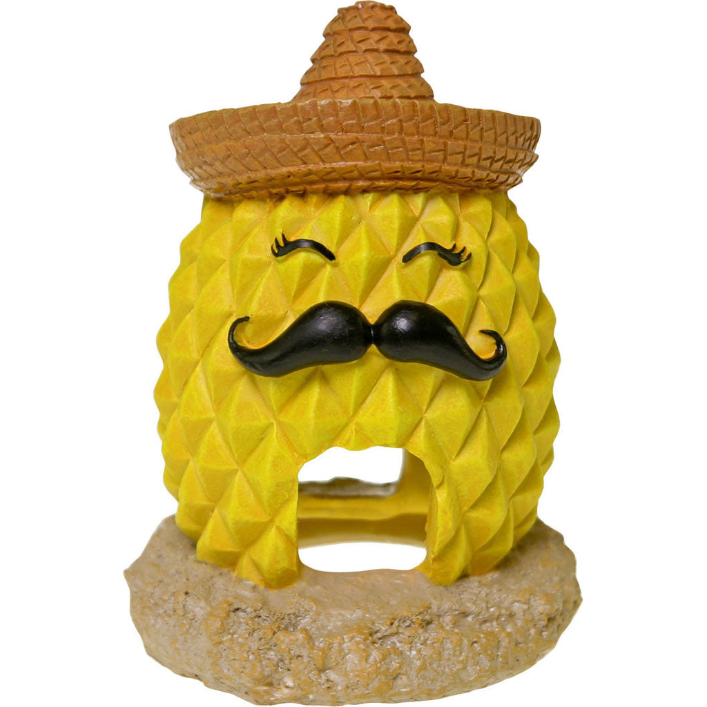 Exotic Environments Pineapple Sombrero (YELLOW, SM)