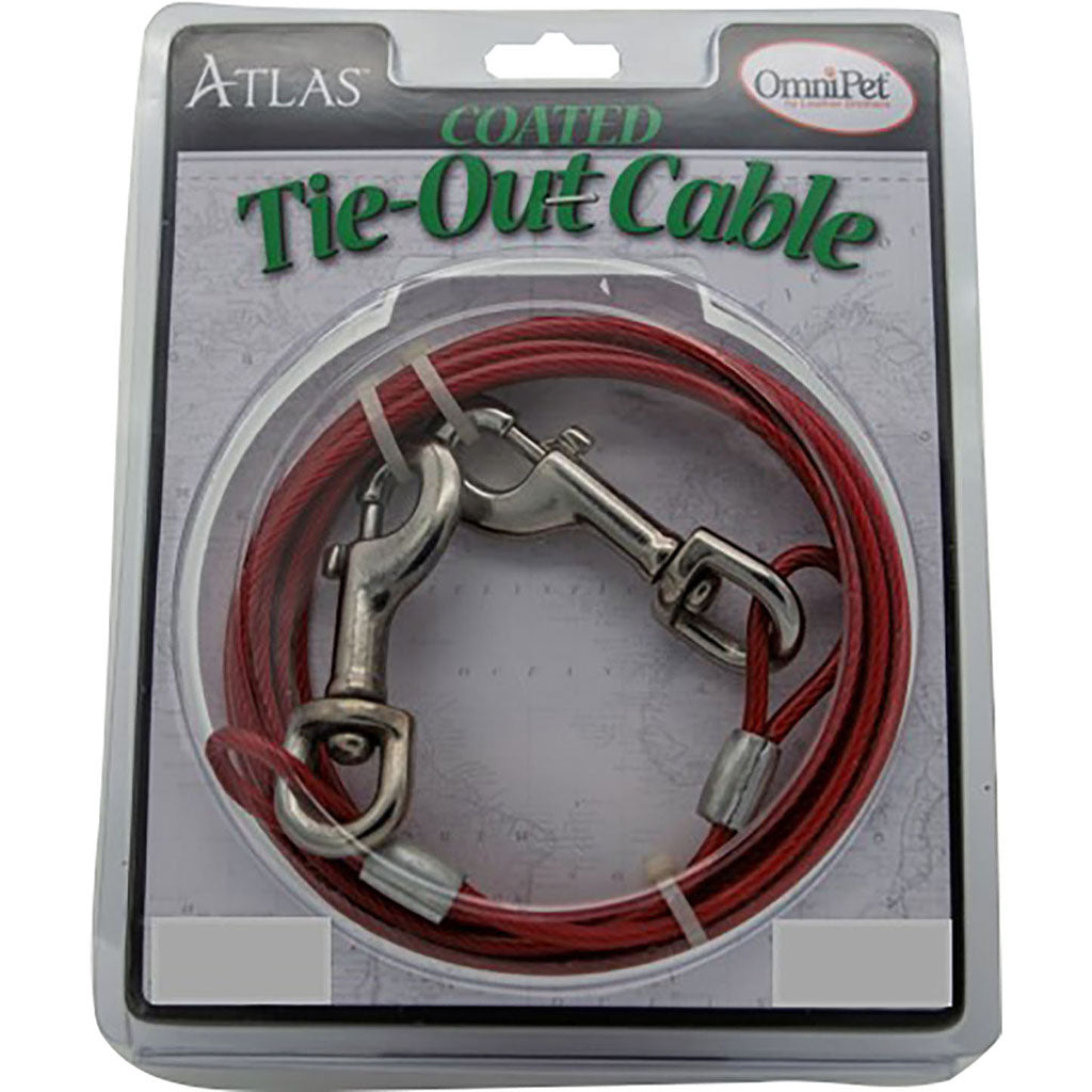 Cable Tie-Out (LG-30 FT)