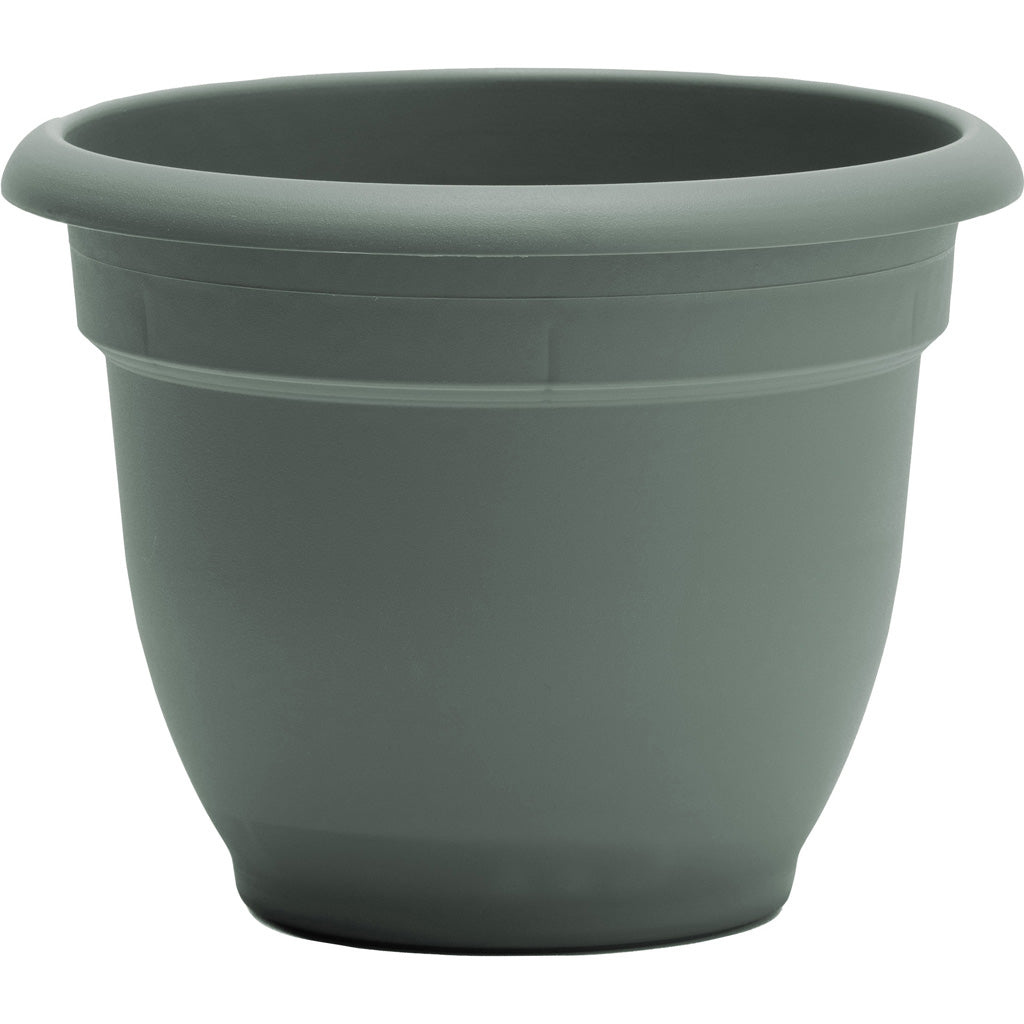 Bloem Ariana Planter (BASIL, 8 IN)